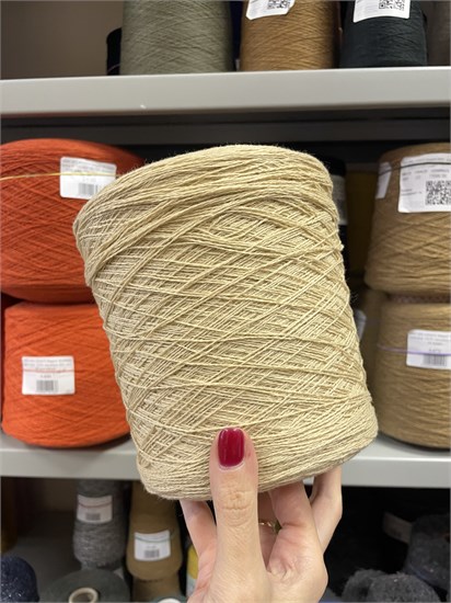 Бежевая бобинная пряжа Delizia Profilo меринос (80%) кашемир (20%) 54688