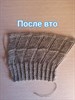 Алмагамбетова Инна